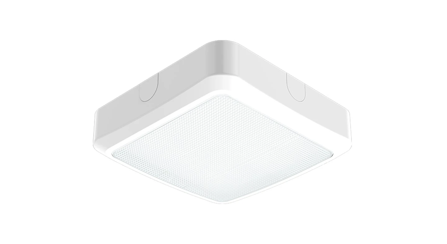 Pro S200 Square Bulkhead Light
